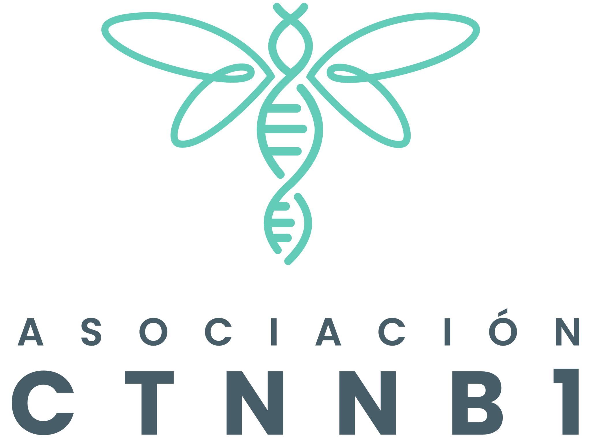 logo ctnnb1