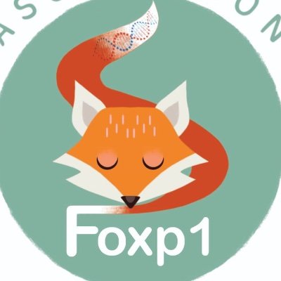 FOXP1 logo