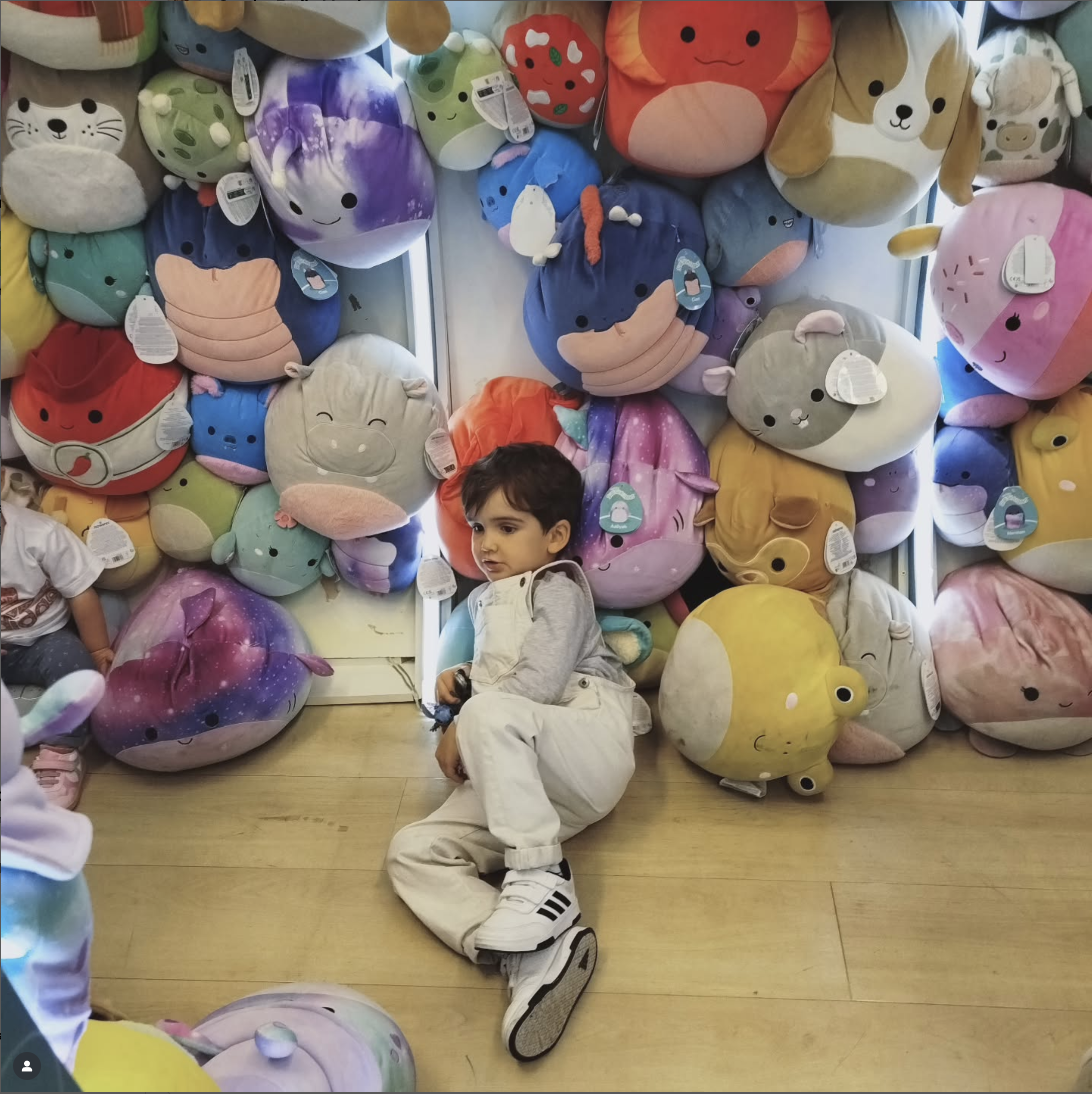 robercontraalexander