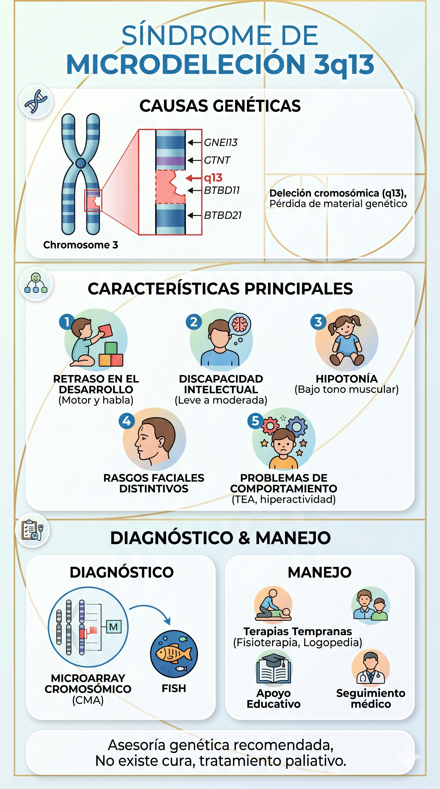 Imagen resumen sobre la microdelección 3q13 - Generada con Gemini IA