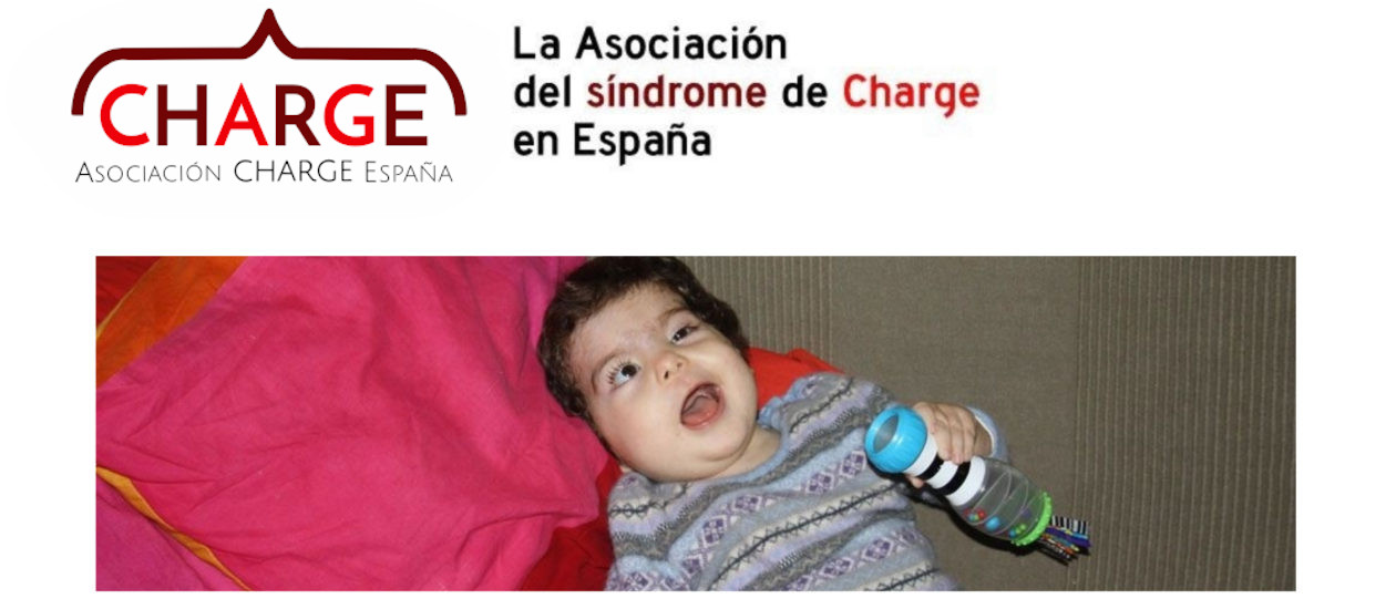 charge logo