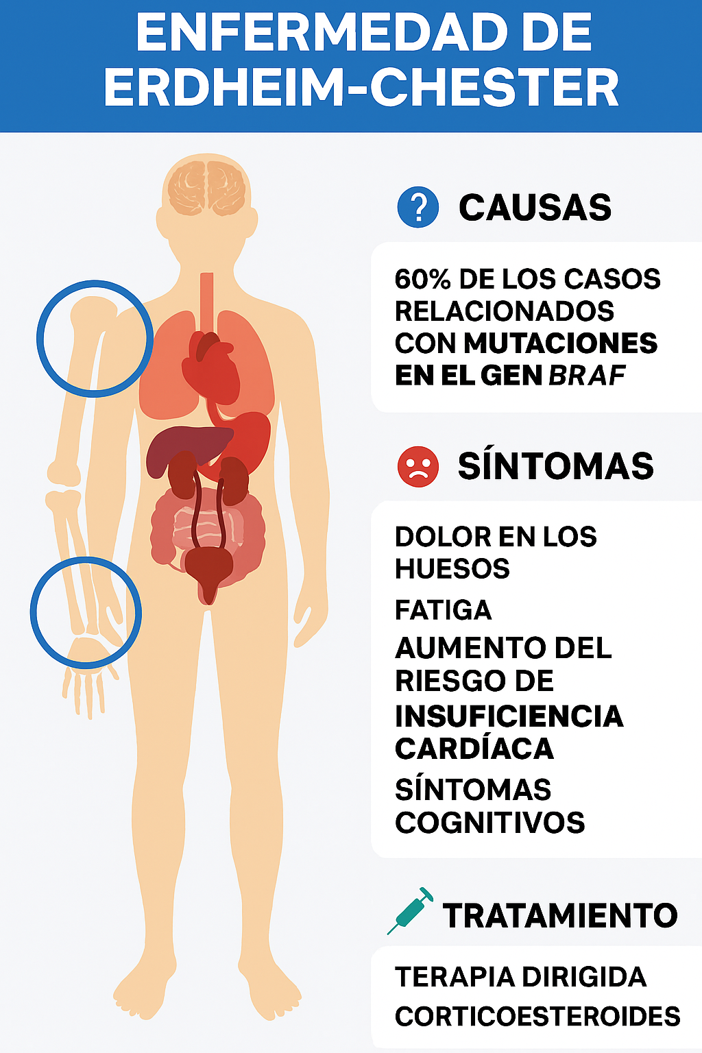 Copilot Erdheim Chester