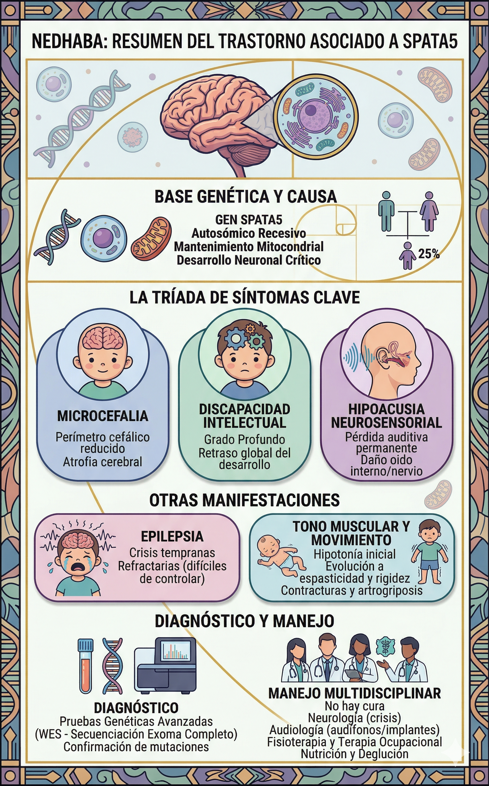 Gemini NEDHABA SPATA5
