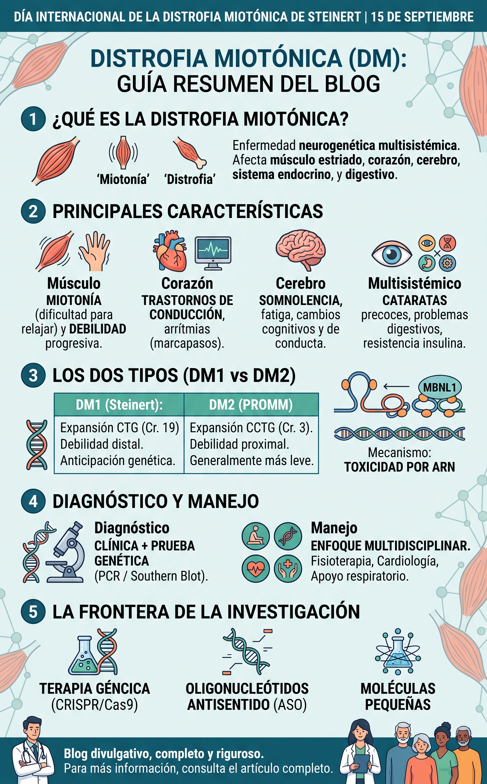Imagen resumen sobre la distrofia miotónica o enfermedad de Steinert en su día interncional. Generado con Gemini IA