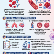 9 de Junio: Día Mundial del Síndrome Antifosfolipídico