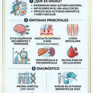 15 de septiembre: Día Mundial de la Deficiencia de Adenosina Desaminasa 2 (DADA2)