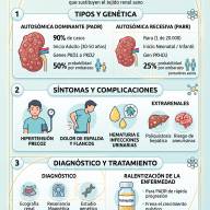 4 de Septiembre: Día Mundial de la Poliquistosis Renal